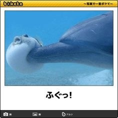 ウケた画像w：コメント3847