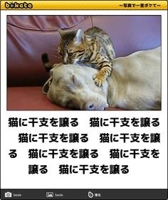 ウケた画像w：コメント3853