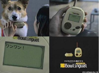 ウケた画像w：コメント3584