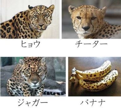 ウケた画像w：コメント3599