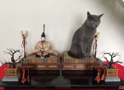 ウケた画像w：コメント3608