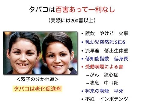 「ルール守っているのに、なぜ...」　過熱する「タバコ叩き」、喫煙者の本音は：コメント2676