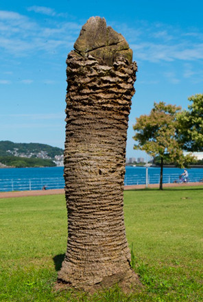 ウケた画像w：コメント4119