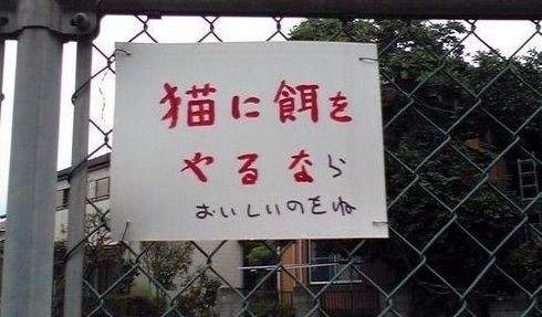 ウケた画像w：コメント4173