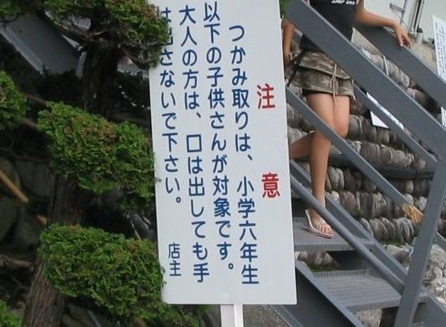 ウケた画像w：コメント4175