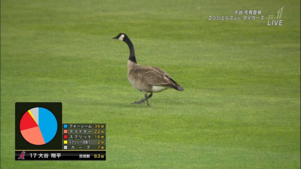 ウケた画像w：コメント4226