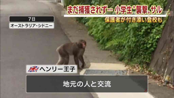 ウケた画像w：コメント4276