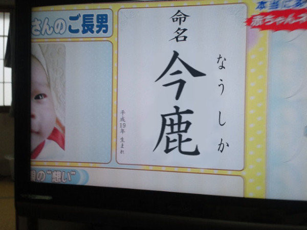 ウケた画像w：コメント4329