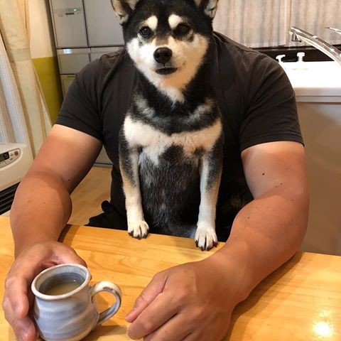 ウケた画像w：コメント4283