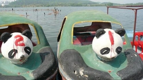 ウケた画像w：コメント4311