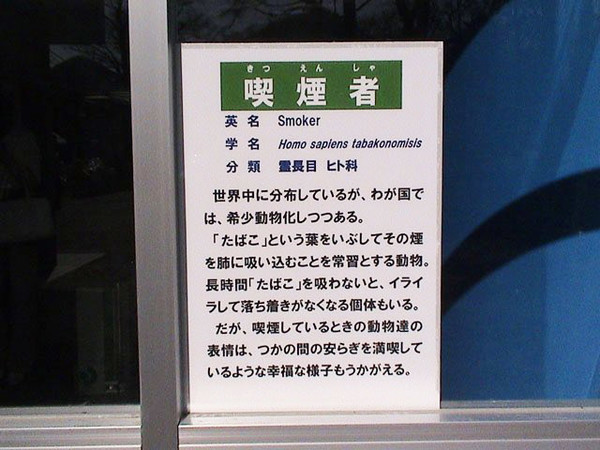 「ルール守っているのに、なぜ...」　過熱する「タバコ叩き」、喫煙者の本音は：コメント3019