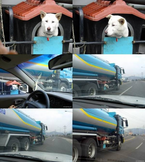 ウケた画像w：コメント4335