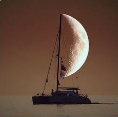 ウケた画像w：コメント3920