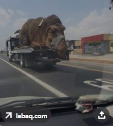 ウケた画像w：コメント3941