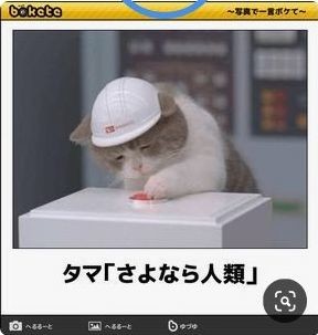 ウケた画像w：コメント3974