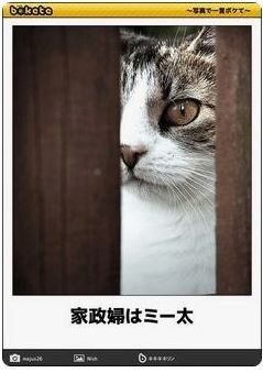 ウケた画像w：コメント3960