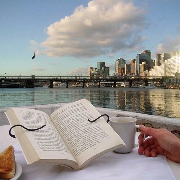 ウケた画像w：コメント4369