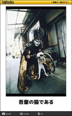 ウケた画像w：コメント4488