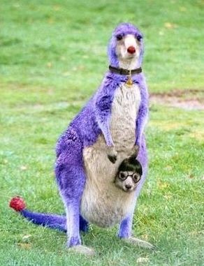 ウケた画像w：コメント4395