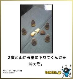 ウケた画像w：コメント4534