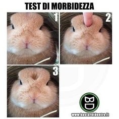 ウケた画像w：コメント4539