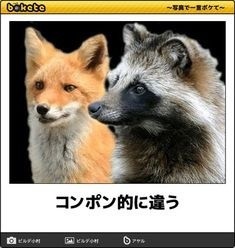 ウケた画像w：コメント4541