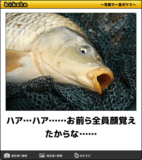 ウケた画像w：コメント4443