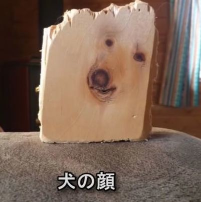 ウケた画像w：コメント4424