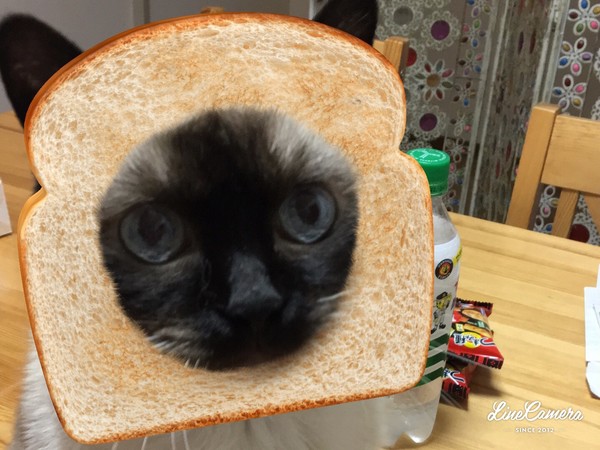 「状況を悪化させてきた責任は日本に」文大統領が遺憾を表明：コメント177