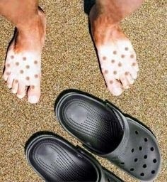 ウケた画像w：コメント4729