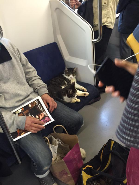 ウケた画像w：コメント4787