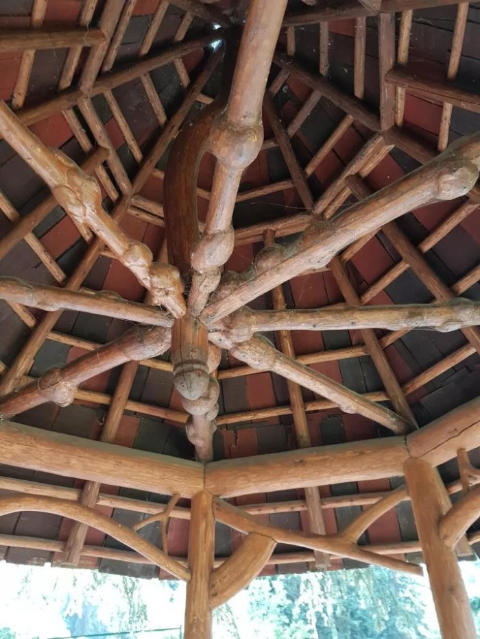 ウケた画像w：コメント4581