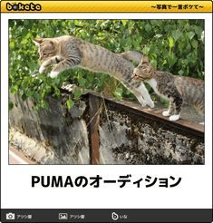 ウケた画像w：コメント4820