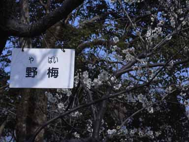 ウケた画像w：コメント4817