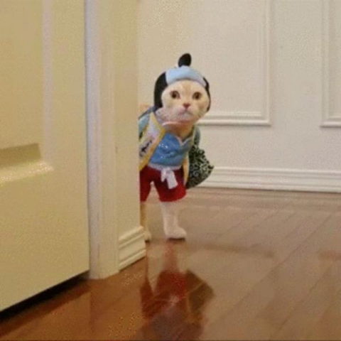 ウケた画像w：コメント4591