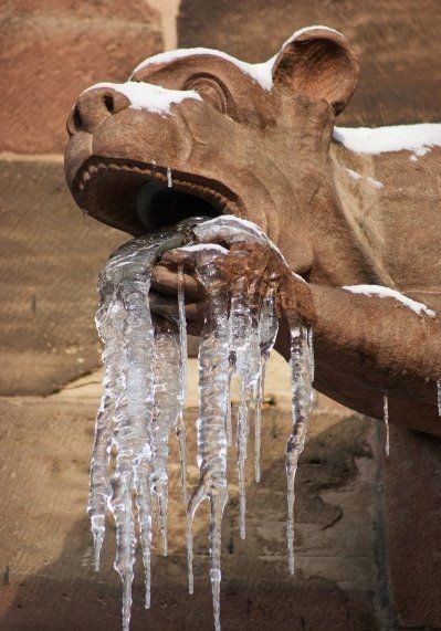 ウケた画像w：コメント4614