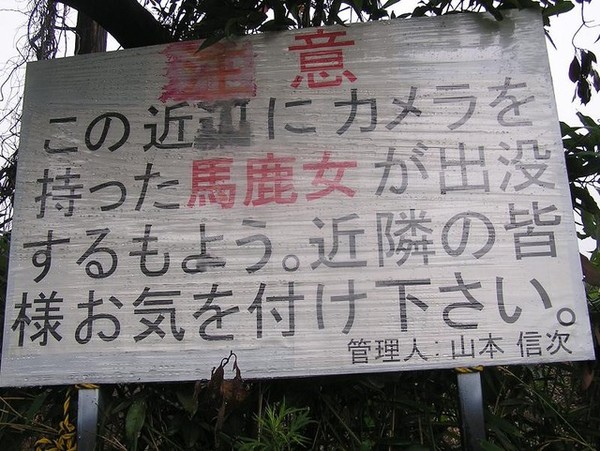 ウケた画像w：コメント4677