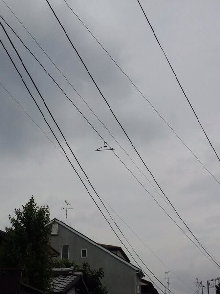 ウケた画像w：コメント4958