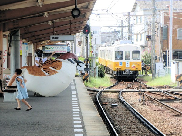 ウケた画像w：コメント4968