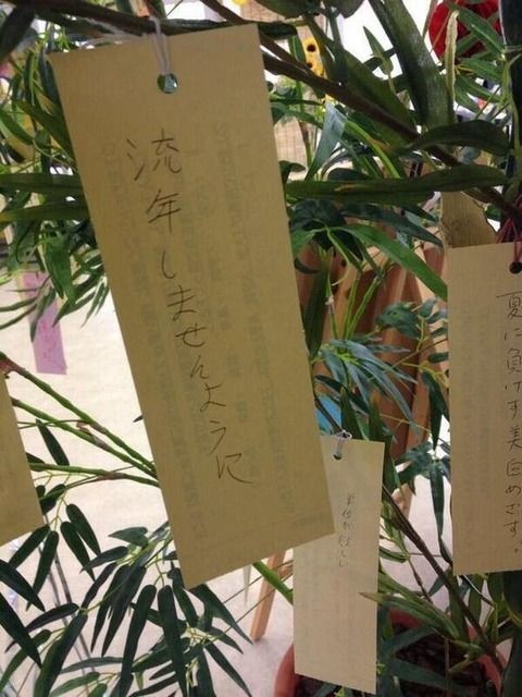 ウケた画像w：コメント4977