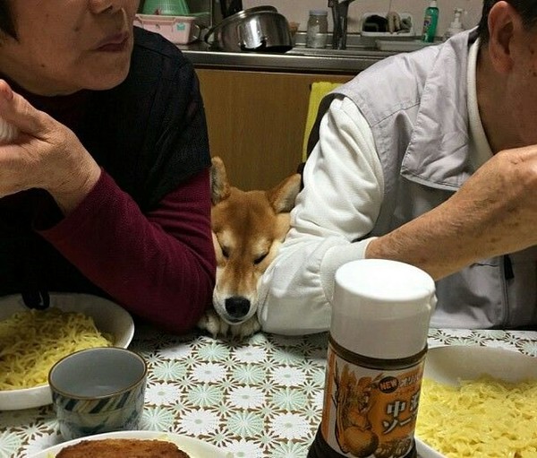 ウケた画像w：コメント4979