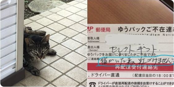 ウケた画像w：コメント4990