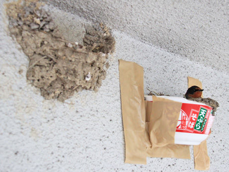 ウケた画像w：コメント5052