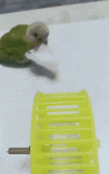 ウケた画像w：コメント4858