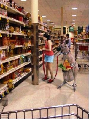 ウケた画像w：コメント6471