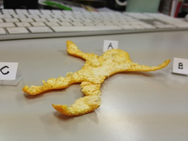 ウケた画像w：コメント6492