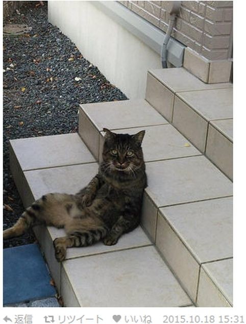 ウケた画像w：コメント6313