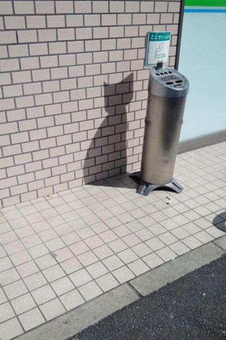 ウケた画像w：コメント6536