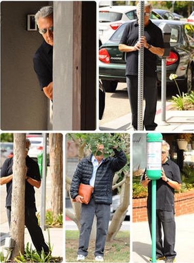 ウケた画像w：コメント6528