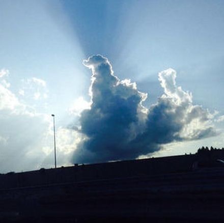 ウケた画像w：コメント6572